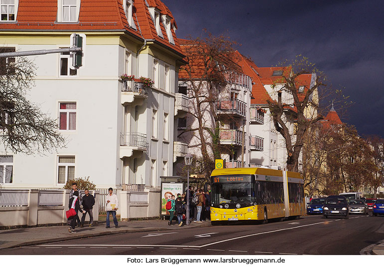 Die Haltestelle Pohlandplatz der Straßenbahn in Dresden