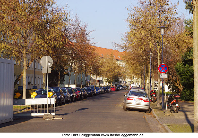 Die Lauensteiner Straße in Dresden-Gruna