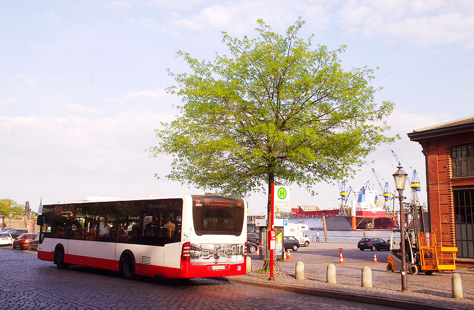 Buslinie 111 in Hamburg - Haltestelle Fischauktionshalle