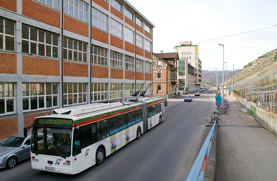 Foto Bus