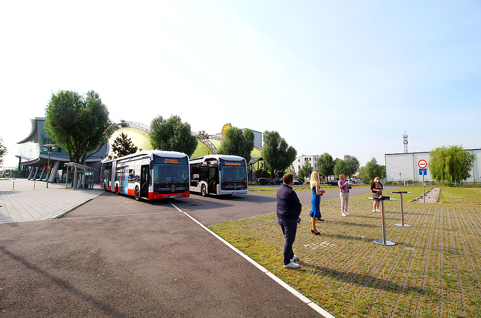 Ecitaro G Busse für Hamburg - Vorstellung der Busse