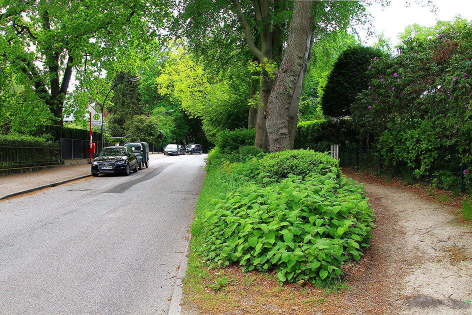 Die Bushaltestelle Richard-Dehmel-Straße der Bergziege in Blankenese