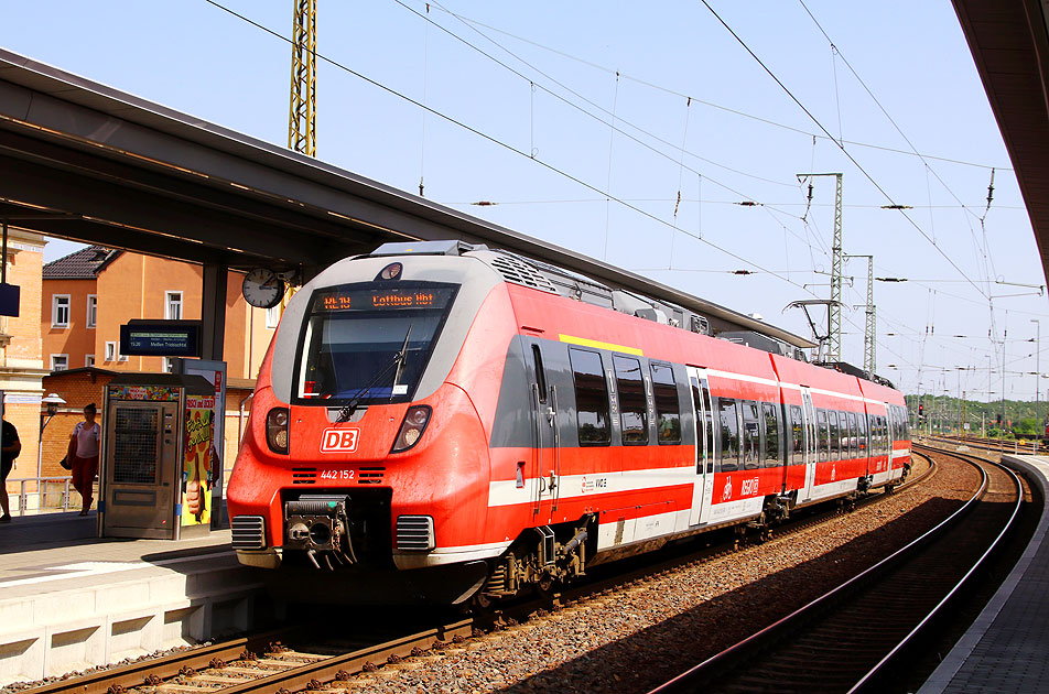 Eine Hamsterbacke im Bahnhof Coswig bei Dresden