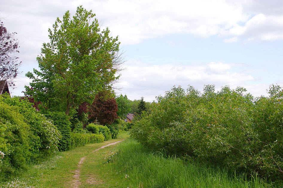 Auf diesem Wanderweg in Lüchow fuhr mal die Lüchow-Schmarsauer Eisenbahn