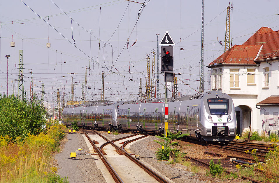 Die DB Baureihe 442 der S-Bahn Mitteldeutschland