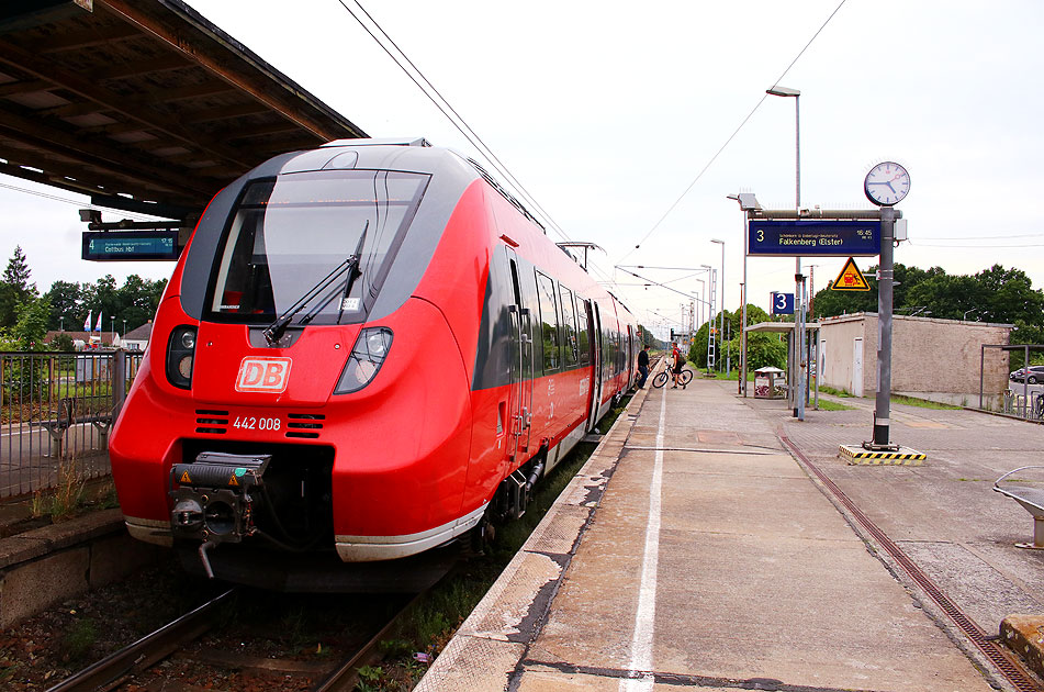 Eine Hamsterbacke im Bahnhof Doberlug-Kirchhain