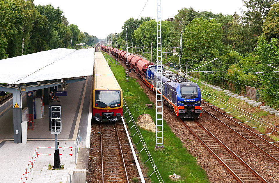 Eine Berliner S-Bahn und eine Raildox Lok der Baureihe 159 - eine Stadler Eurodual - im Bahnhof Borgsdorf an der Norddbahn