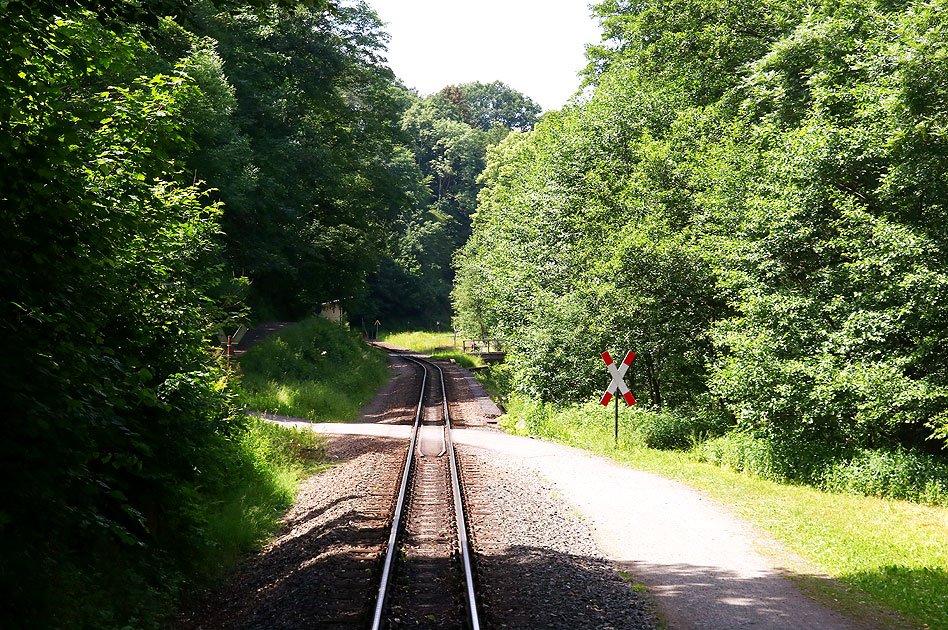 Die Weißeritztalbahn zwischen Spechtritz und Seifersdorf mit einem Bahnübergang vom Weißeritzweg