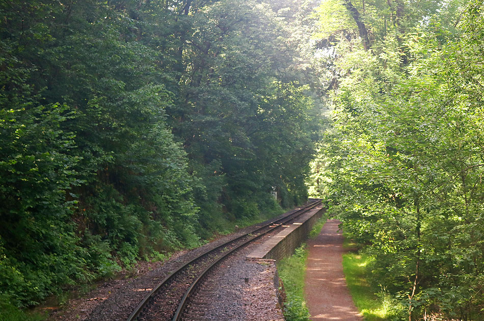 Die Weißeritztalbahn zwischen Spechtritz und Seifersdorf