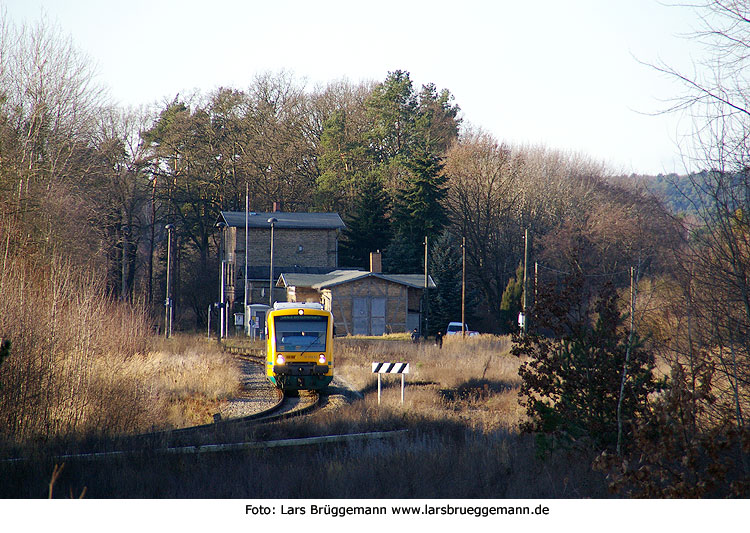 Foto: Lars Brüggemann - www.larsbrueggemann.de