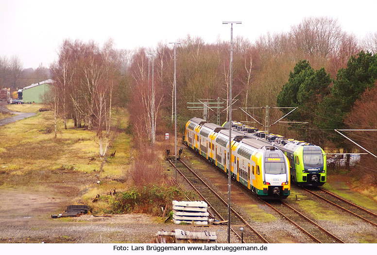 ODEG und Nordbahn Triebwagen im Güterbahnhof Elmshorn