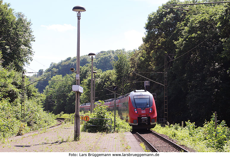 Ein Triebwagen der Baureihe 442 im Bahnhof Dresden-Plauen