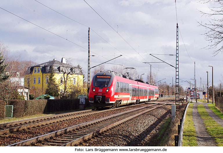 Eine Regionalbahn der Baureihe 442 im Bahnhof Dresden-Stetzsch