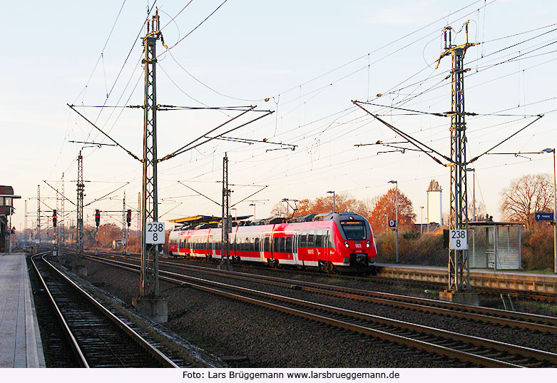 Eine Hamsterbacke im Bahnhof Büchen als Regionalbahn nach Hagenow Land