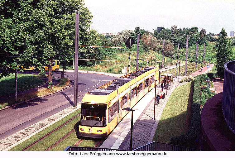 Haltestelle Cämmerswalder Straße der Straßenbahn in Dresden