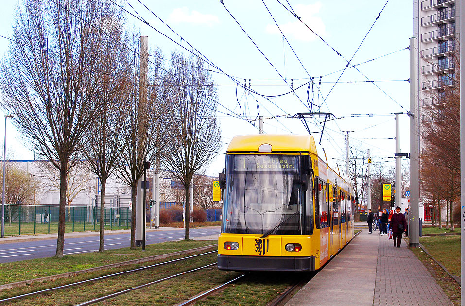 Die Straßenbahn in Dresden an der Haltestelle Albert-Wolf-Platz