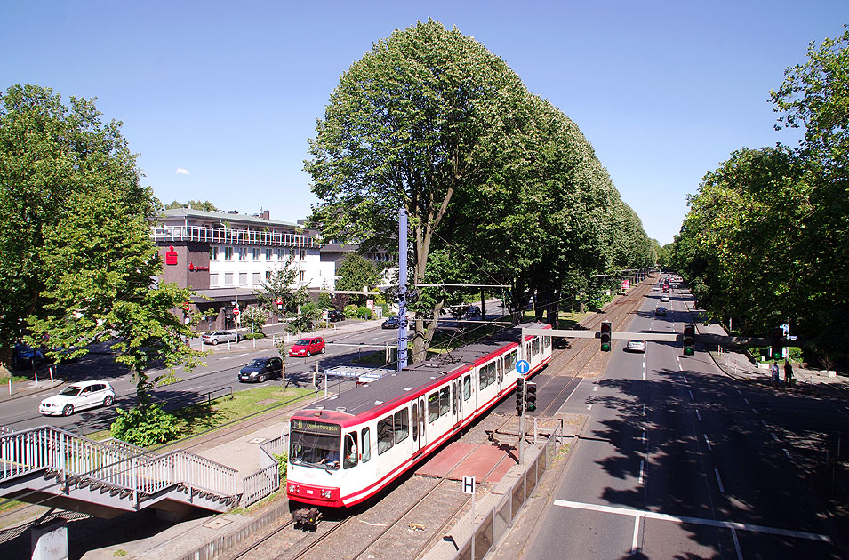 Foto: Lars Brüggemann - www.larsbrueggemann.de