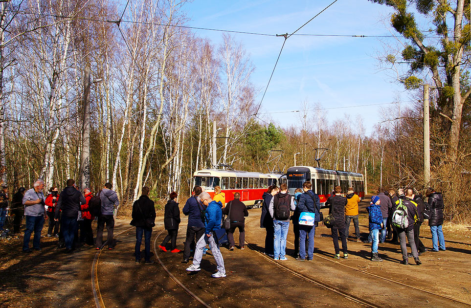 Tatra Straßenbahn Dresden Gleisschleife Diebsteig