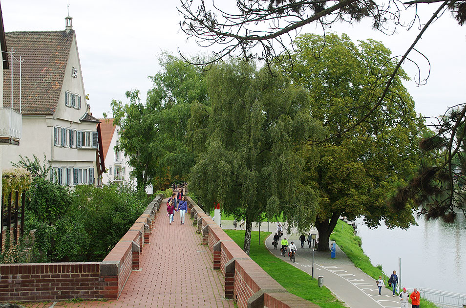 Ulm mit der Donau