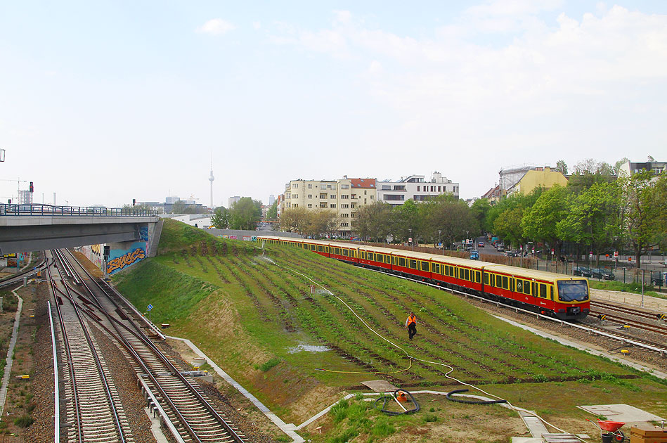 Eine S-Bahn in Berlin im Bahnhof Ostkreuz