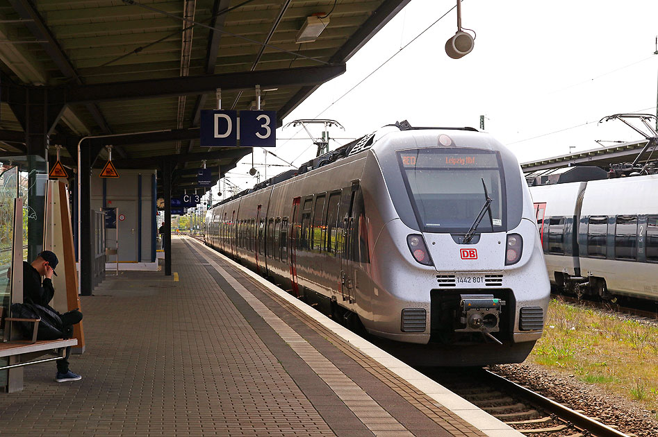Eine Hamsterbacke in Dessau Hbf