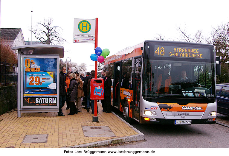 Bergziege in Blankenese