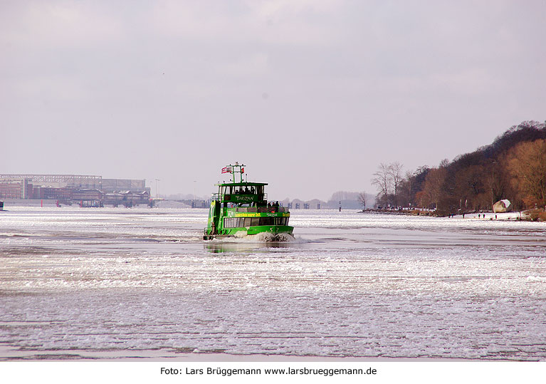 Das HADAG Schiff Tollerort auf der vereisten Elbe - Das Schiff trägt Werbung für das Musical Tarzan