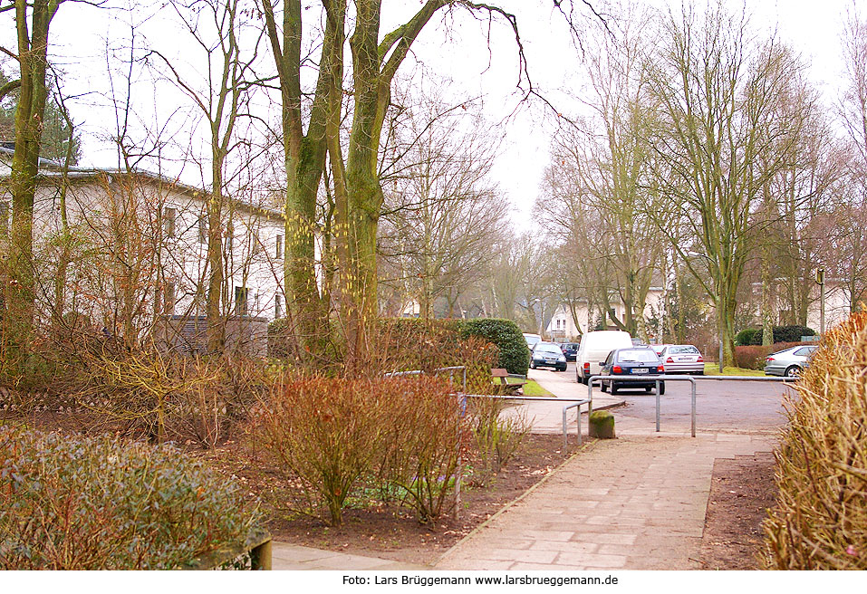 Der Mechelnbusch in Hamburg-Rissen