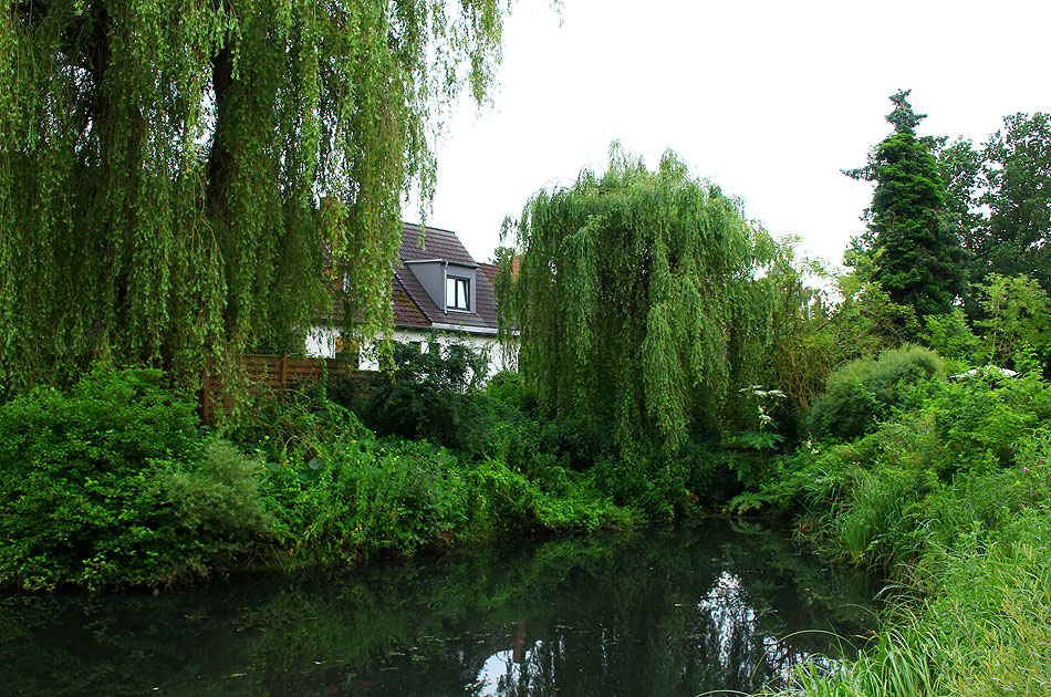 Das Rückhaltebecken vom Holtbarggraben in Hamburg-Iserbrook - Ententeich
