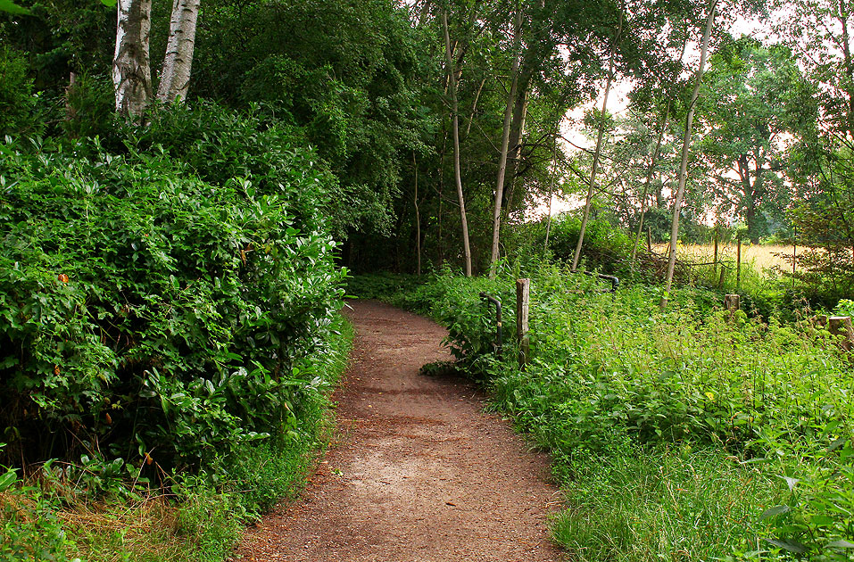 Der Borndiek in Hamburg-Iserbrook in den Hamburger Elbvororten