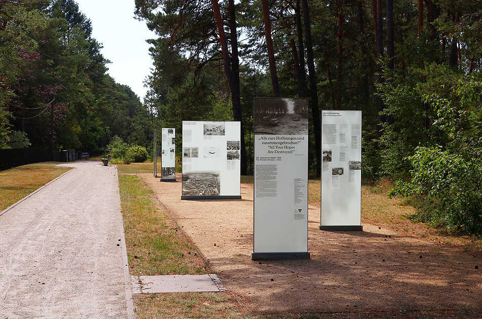 Die Ernst-Teichmann-Straße in Halbe mit dem Waldfriedhof
