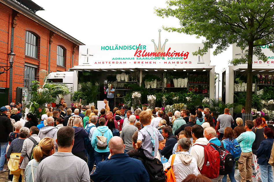 Marktschreier auf dem Fischmmarkt in Hamburg - Holländischer Blumenkönig