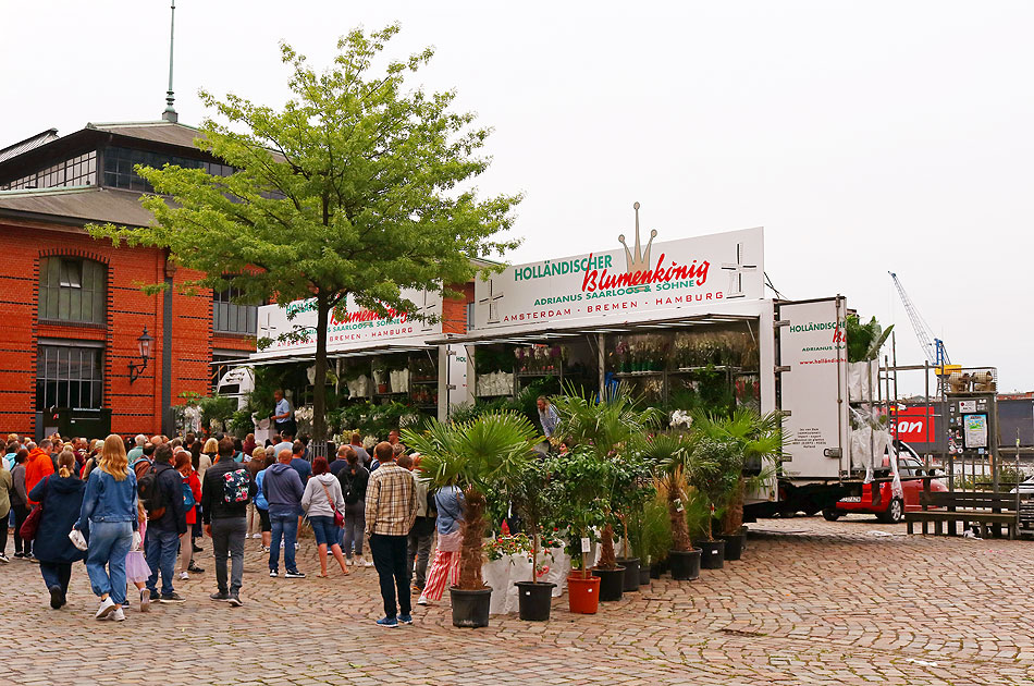 Marktschreier auf dem Fischmmarkt in Hamburg - Holländischer Blumenkönig
