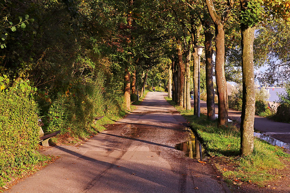Der Elbwanderweg von Teufelsbrück nach Övelgönne